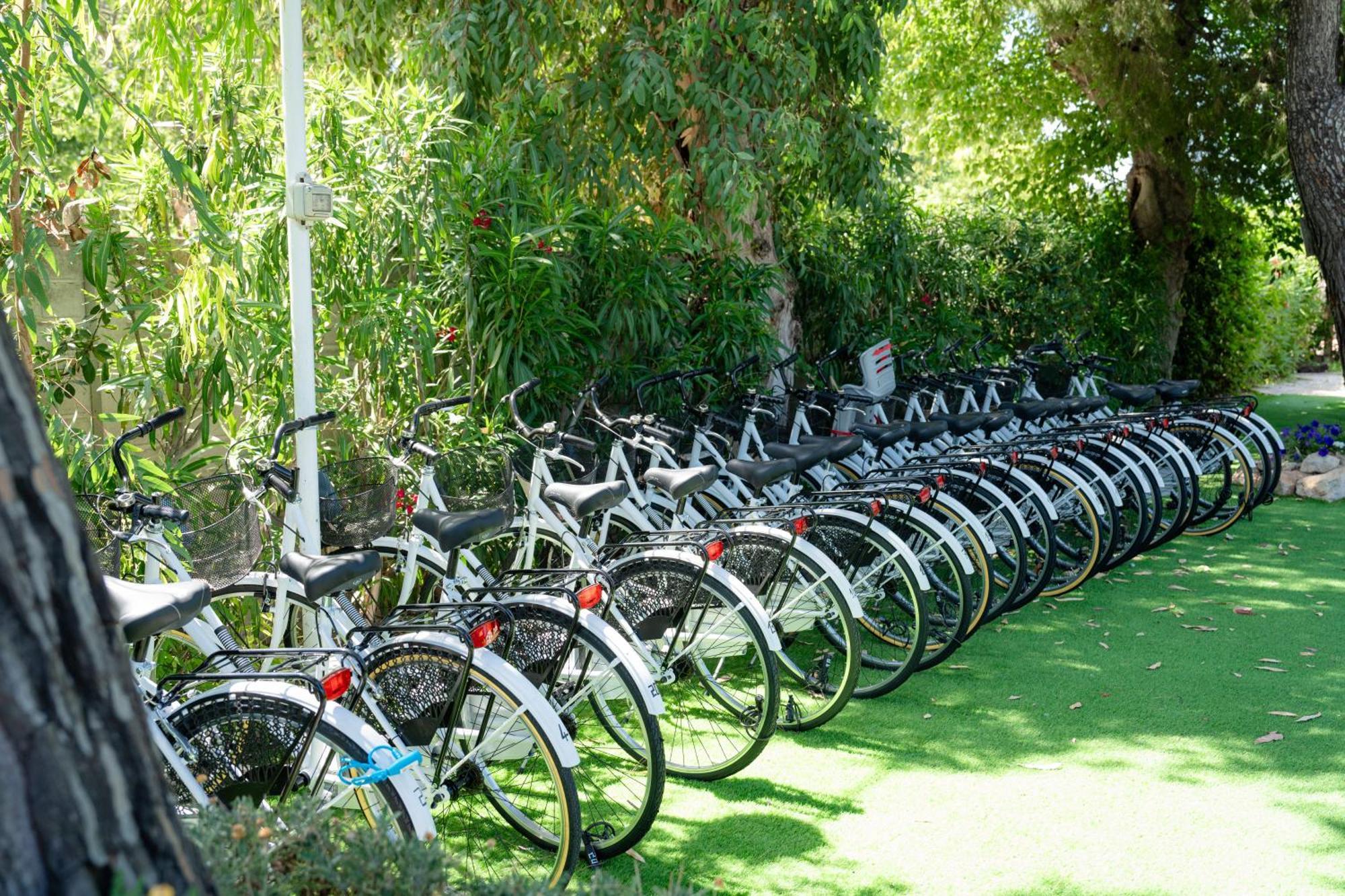 Club Del Sole Stork Family Collection Hotel Giulianova Eksteriør billede