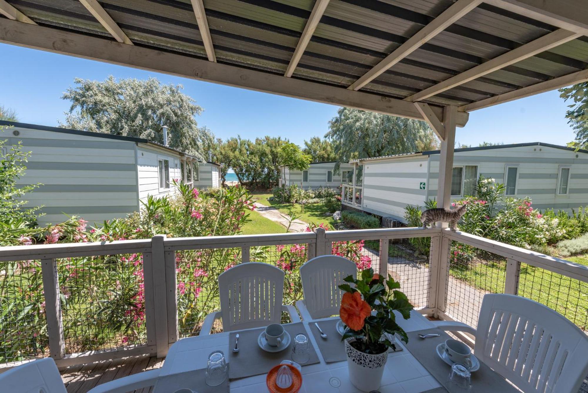 Club Del Sole Stork Family Collection Hotel Giulianova Eksteriør billede